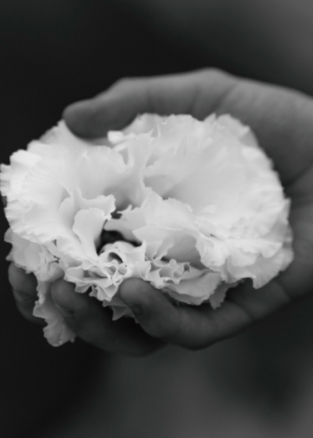 gallery_img